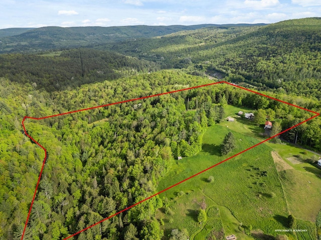 122 Wallace Rd, Northfield, VT 05663 - aerial view of property's location featuring a forest, property parcel outlined, and a mountain backdrop