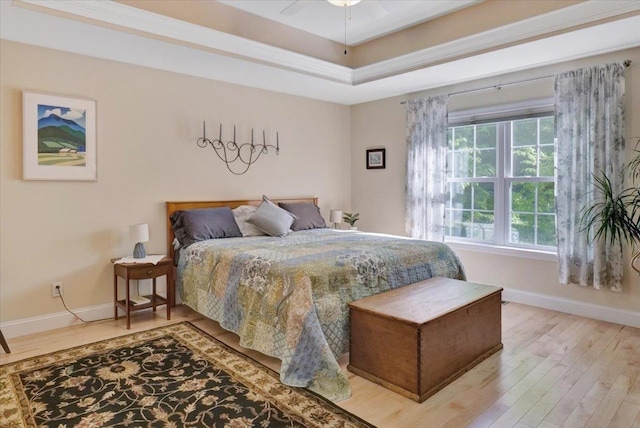 28A Black Walnut Ln Unit A, Jericho, VT 05465 - bedroom with light wood-style floors, a raised ceiling, and baseboards