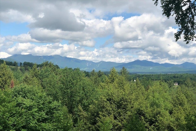 1444 Upper Hollow Rd, Stowe, VT 05672 - mountain view with a forest