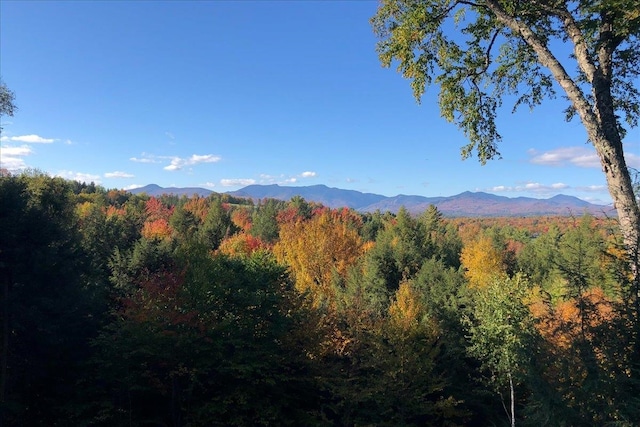 1444 Upper Hollow Rd, Stowe, VT 05672 - view of mountain backdrop featuring a heavily wooded area