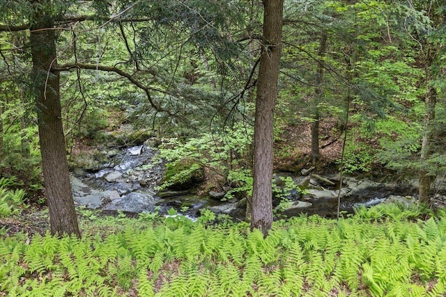 1444 Upper Hollow Rd, Stowe, VT 05672 - view of tree filled area