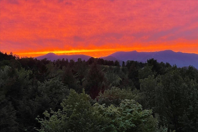1444 Upper Hollow Rd, Stowe, VT 05672 - view of mountain backdrop featuring a forest