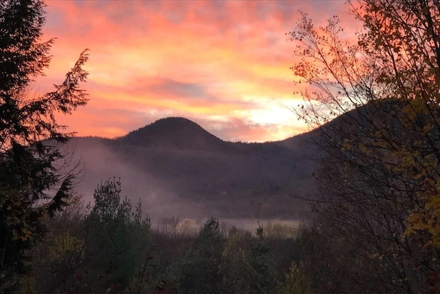1444 Upper Hollow Rd, Stowe, VT 05672 - mountain view