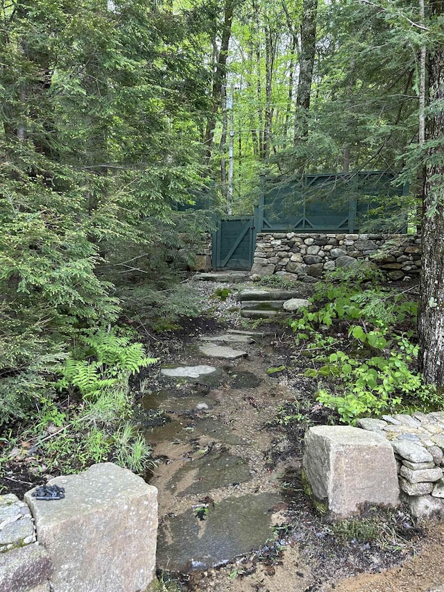 241 Skatutakee Rd, Harrisville, NH 03450 - view of wooded area