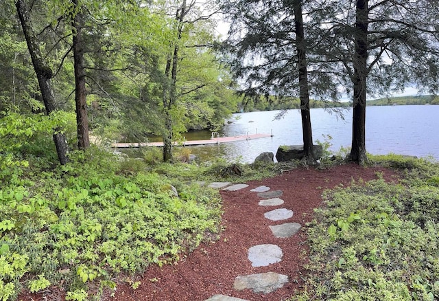 241 Skatutakee Rd, Harrisville, NH 03450 - view of yard featuring a water view and a view of trees