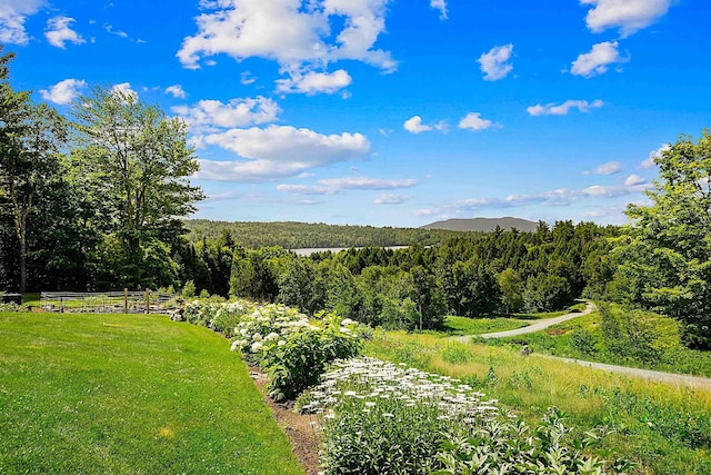 1452 Little Sunapee Rd, New London, NH 03257 - mountain view with a heavily wooded area
