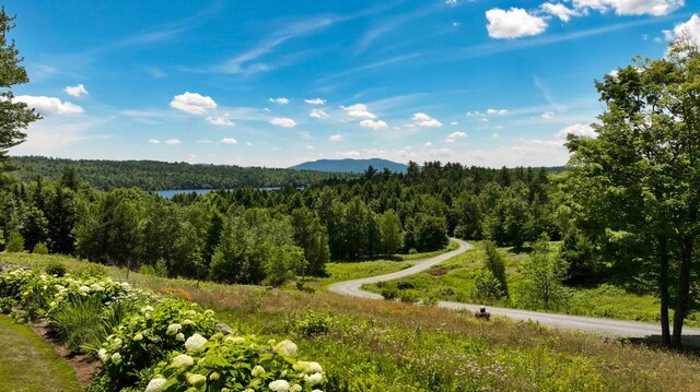 1452 Little Sunapee Rd, New London, NH 03257 - mountain view with a forest and a large body of water