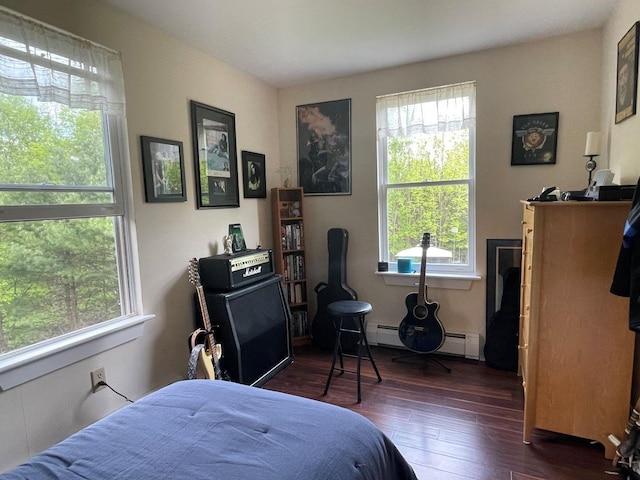 139 Rice Brook Dr, Stoddard, NH 03464 - bedroom with baseboard heating, multiple windows, and dark wood-type flooring