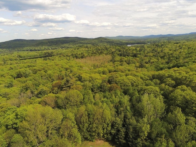 139 Rice Brook Dr, Stoddard, NH 03464 - view of mountain background featuring a forest