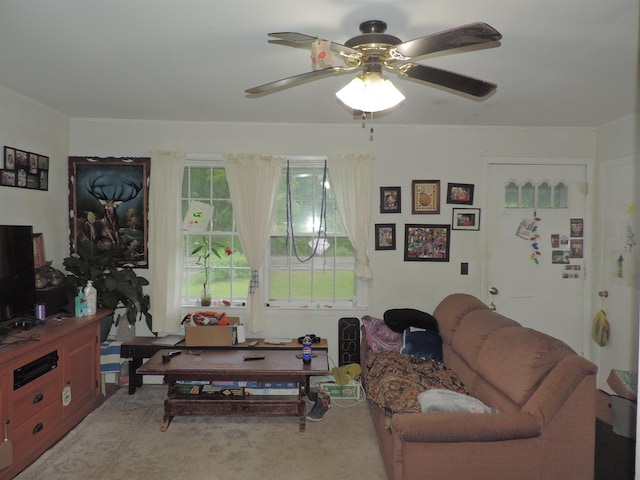 126 Fisher Rd, Deering, NH 03244 - carpeted living room featuring ceiling fan and crown molding