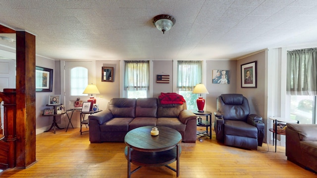 358 S Main St, Whiting, VT 05778 - living room with hardwood / wood-style floors and ornamental molding