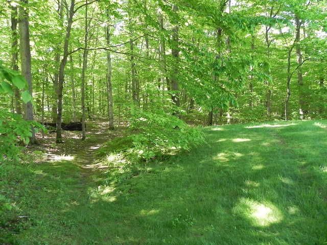 1782 Old Creamery Rd, Williston, VT 05495 - view of yard featuring a wooded view