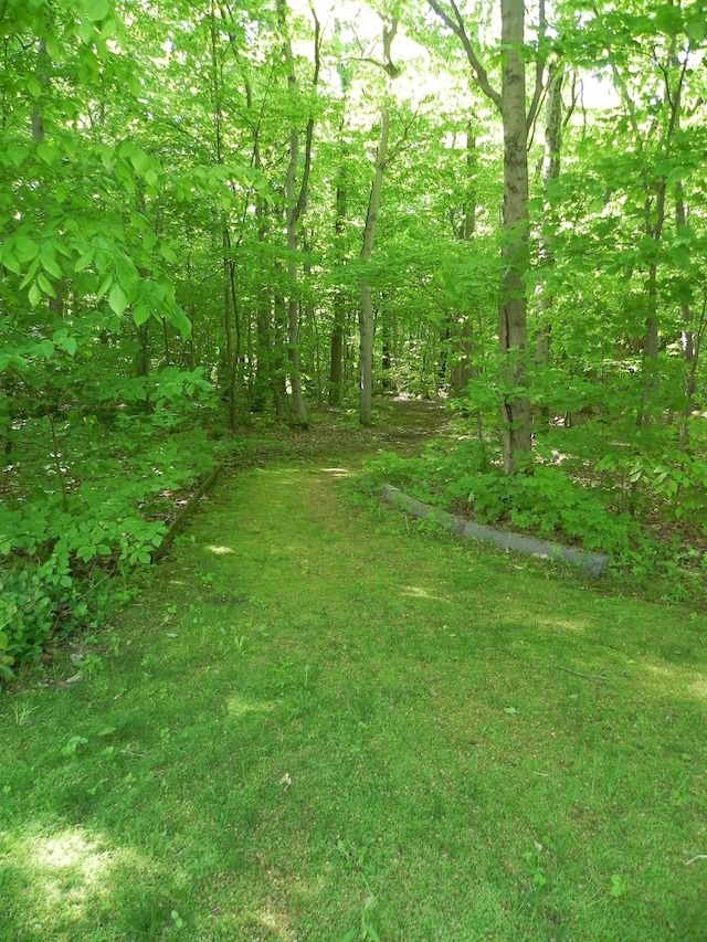 1782 Old Creamery Rd, Williston, VT 05495 - view of yard