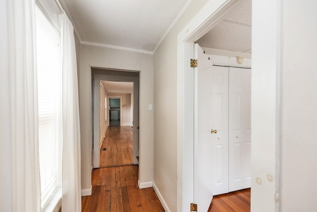 247 Prospect St, Manchester, NH 03104 - hall featuring ornamental molding, wood finished floors, and baseboards
