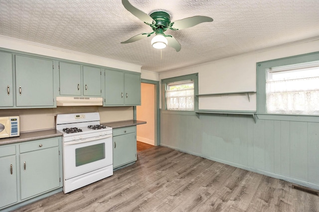 247 Prospect St, Manchester, NH 03104 - kitchen featuring white appliances, under cabinet range hood, a ceiling fan, and light wood-style flooring