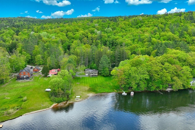 775 E Lake Rd, Ludlow, VT 05149 - drone / aerial view of a heavily wooded area and a nearby body of water