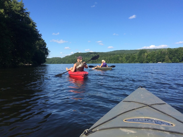 775 E Lake Rd, Ludlow, VT 05149 - water view featuring a forest