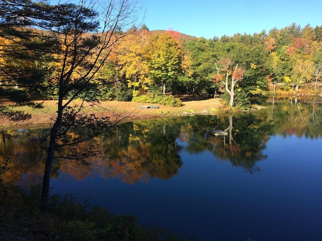 775 E Lake Rd, Ludlow, VT 05149 - water view featuring a forest