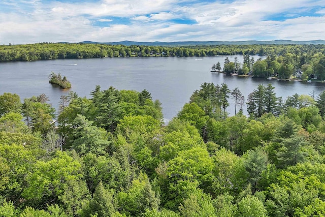 22 Shore Dr, Middleton, NH 03887 - water view featuring a forest