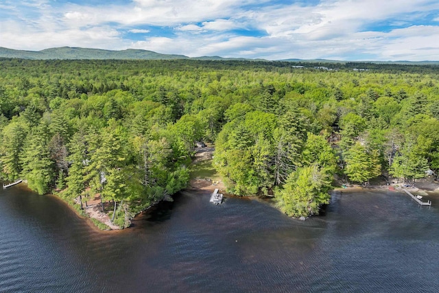 22 Shore Dr, Middleton, NH 03887 - bird's eye view of a heavily wooded area and a mountainous background