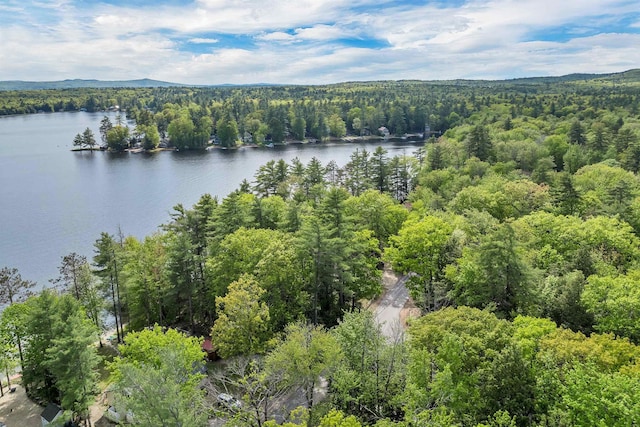 22 Shore Dr, Middleton, NH 03887 - bird's eye view of a forest and a large body of water