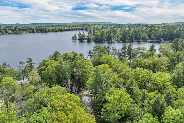 22 Shore Dr, Middleton, NH 03887 - water view featuring a heavily wooded area