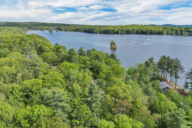 22 Shore Dr, Middleton, NH 03887 - water view with a heavily wooded area