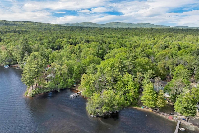 22 Shore Dr, Middleton, NH 03887 - aerial view of property's location with a forest and a water and mountain view