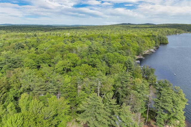 22 Shore Dr, Middleton, NH 03887 - bird's eye view of a heavily wooded area and a large body of water