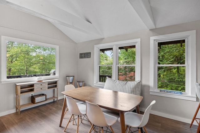 25 Hilltop Dr, Newbury, NH 03255 - dining area with vaulted ceiling, plenty of natural light, wood finished floors, and baseboards