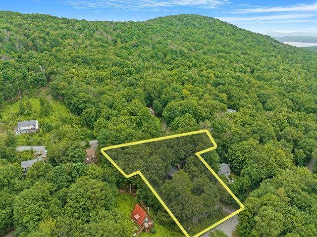 25 Hilltop Dr, Newbury, NH 03255 - aerial view of property and surrounding area with a heavily wooded area, property parcel outlined, and a mountain backdrop
