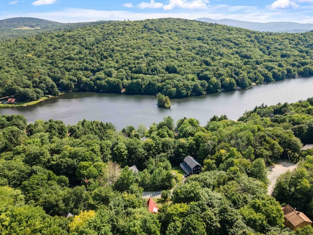25 Hilltop Dr, Newbury, NH 03255 - bird's eye view of a forest and a water and mountain view