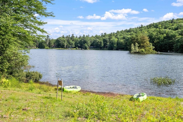 25 Hilltop Dr, Newbury, NH 03255 - water view with a heavily wooded area