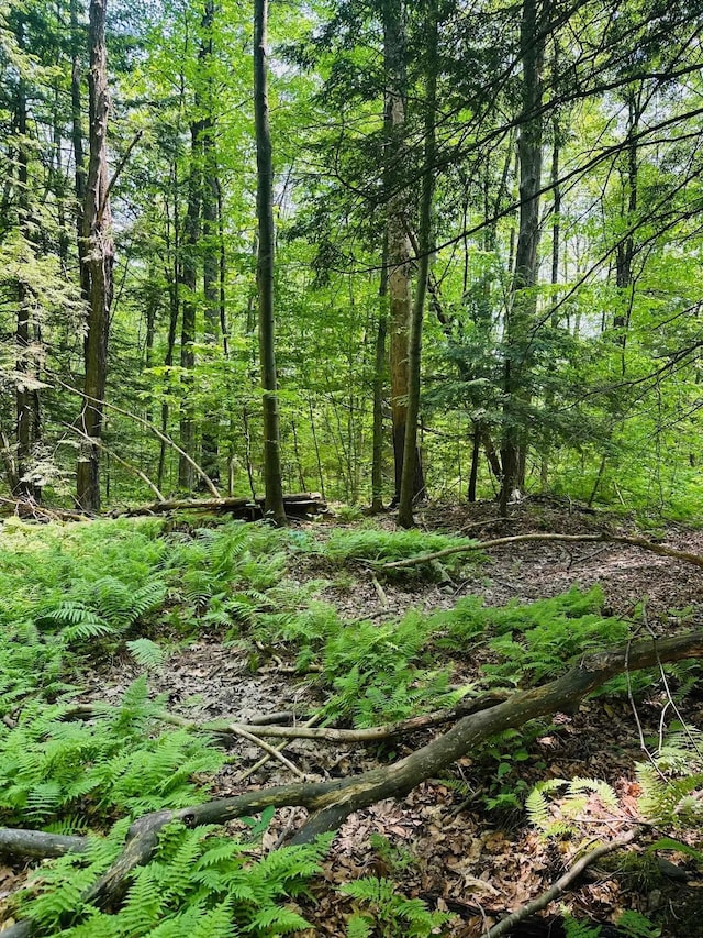123 Rte 5, Westminster, VT 05158