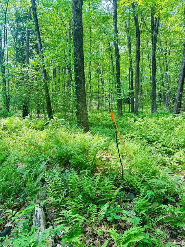 123 Rte 5, Westminster, VT 05158