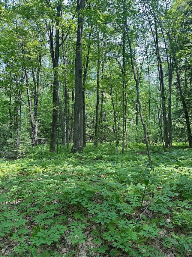 123 Rte 5, Westminster, VT 05158