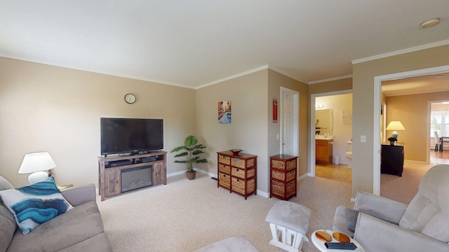 4 Bow Center Rd Unit B-3, Bow, NH 03304 - living room with light carpet, baseboards, and ornamental molding