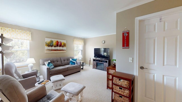 4 Bow Center Rd Unit B-3, Bow, NH 03304 - living room with plenty of natural light, ornamental molding, carpet, and baseboards