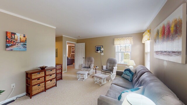4 Bow Center Rd Unit B-3, Bow, NH 03304 - carpeted living room featuring crown molding and baseboards