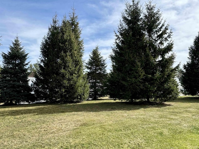 4 Bow Center Rd Unit B-3, Bow, NH 03304 - view of green lawn