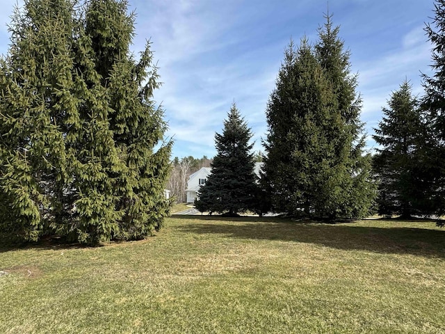 4 Bow Center Rd Unit B-3, Bow, NH 03304 - view of green lawn