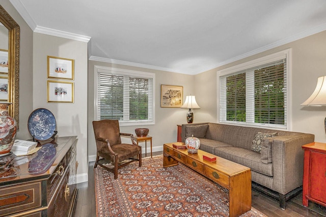 7 Lilac Ct Unit 335, Nashua, NH 03062 - living room with dark wood-style floors, plenty of natural light, crown molding, and baseboards