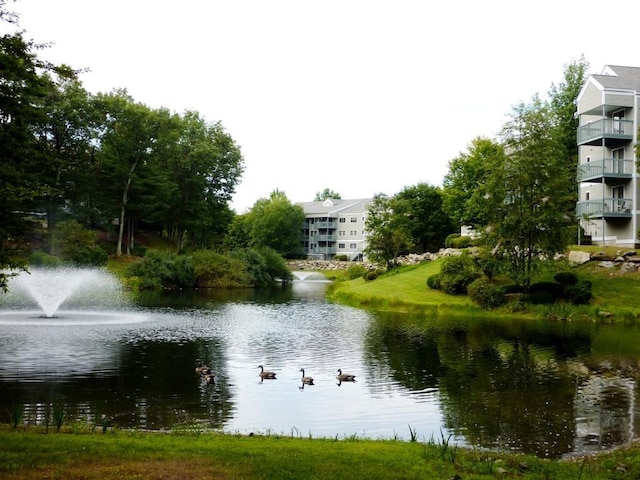 7 Lilac Ct Unit 335, Nashua, NH 03062 - water view
