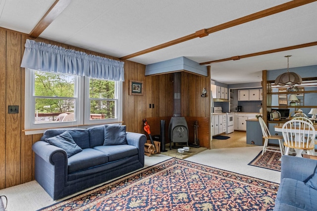 21 Pine Hill Dr, Barnstead, NH 03225 - living room with a wood stove, wooden walls, and light carpet