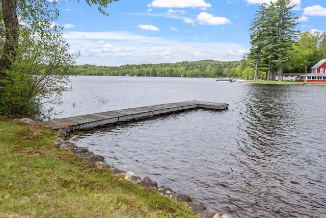 21 Pine Hill Dr, Barnstead, NH 03225 - dock with a water view and a view of trees