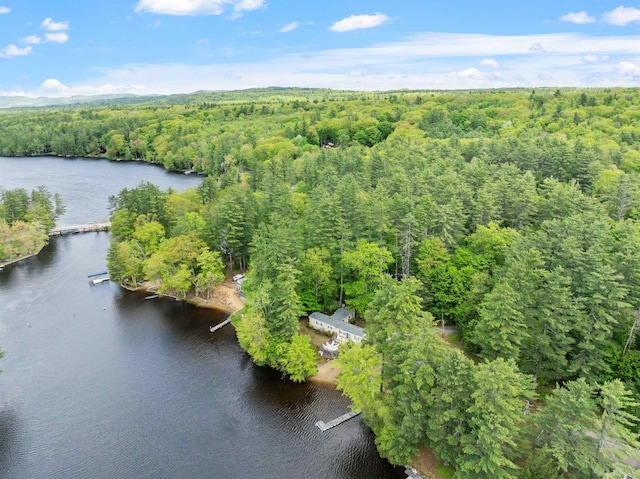 21 Pine Hill Dr, Barnstead, NH 03225 - drone / aerial view of a forest and a large body of water