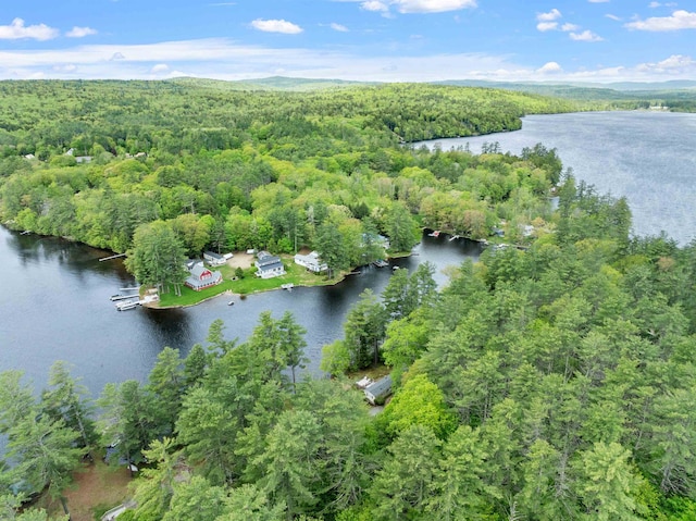 21 Pine Hill Dr, Barnstead, NH 03225 - view of property location with a nearby body of water and a heavily wooded area