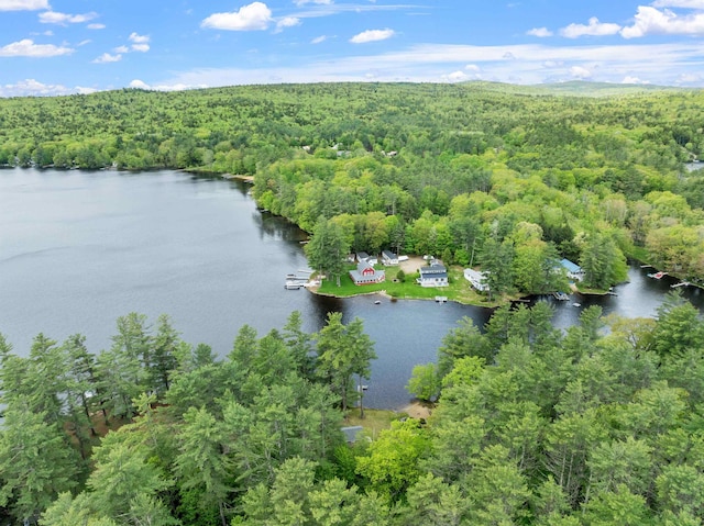 21 Pine Hill Dr, Barnstead, NH 03225 - bird's eye view of a heavily wooded area and a nearby body of water