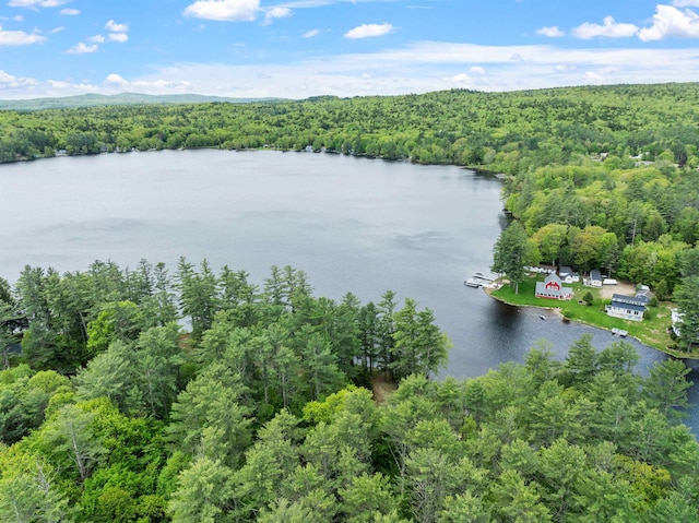 21 Pine Hill Dr, Barnstead, NH 03225 - aerial view of a forest and a nearby body of water