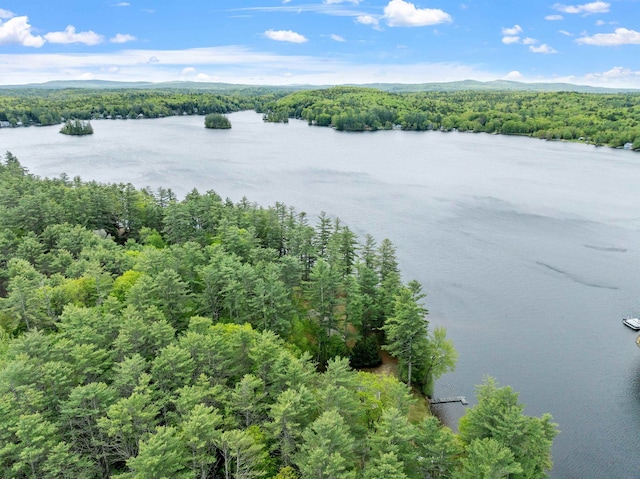 21 Pine Hill Dr, Barnstead, NH 03225 - drone / aerial view of a heavily wooded area and a water and mountain view